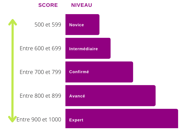 Niveau certification Opquast